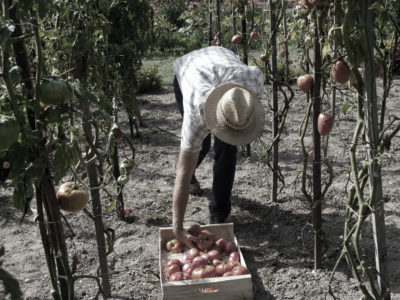 Lavoratore stagionale