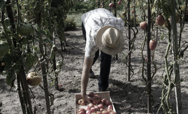 Lavoratore stagionale