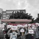 Manifestazione Tropea